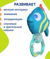 Кликните для увеличения изображения